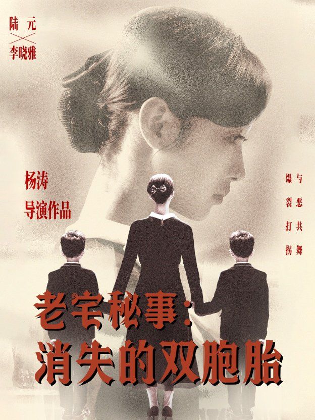 老宅秘事消失的双胞胎（消失的孩子）